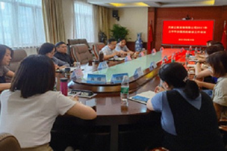 發揮黨建引領作用，推動“四責協同”落地 - 天咨公司召開2021年黨建工作中期推動會